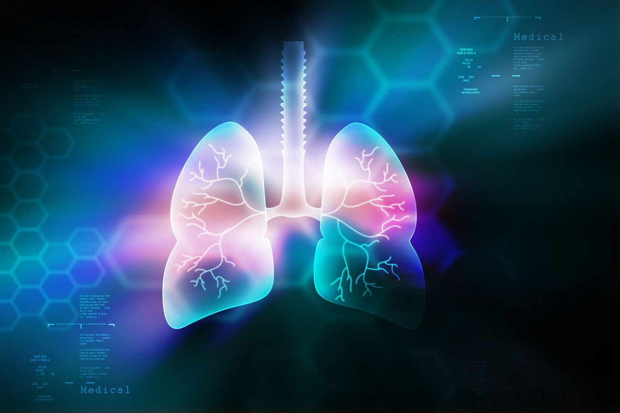 Lung graphic