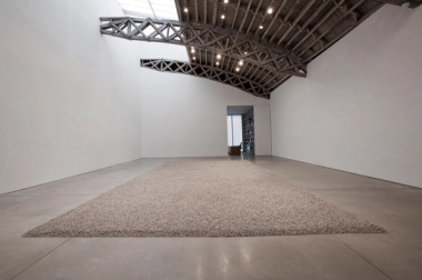 Sunflower Seeds (5 Tons)