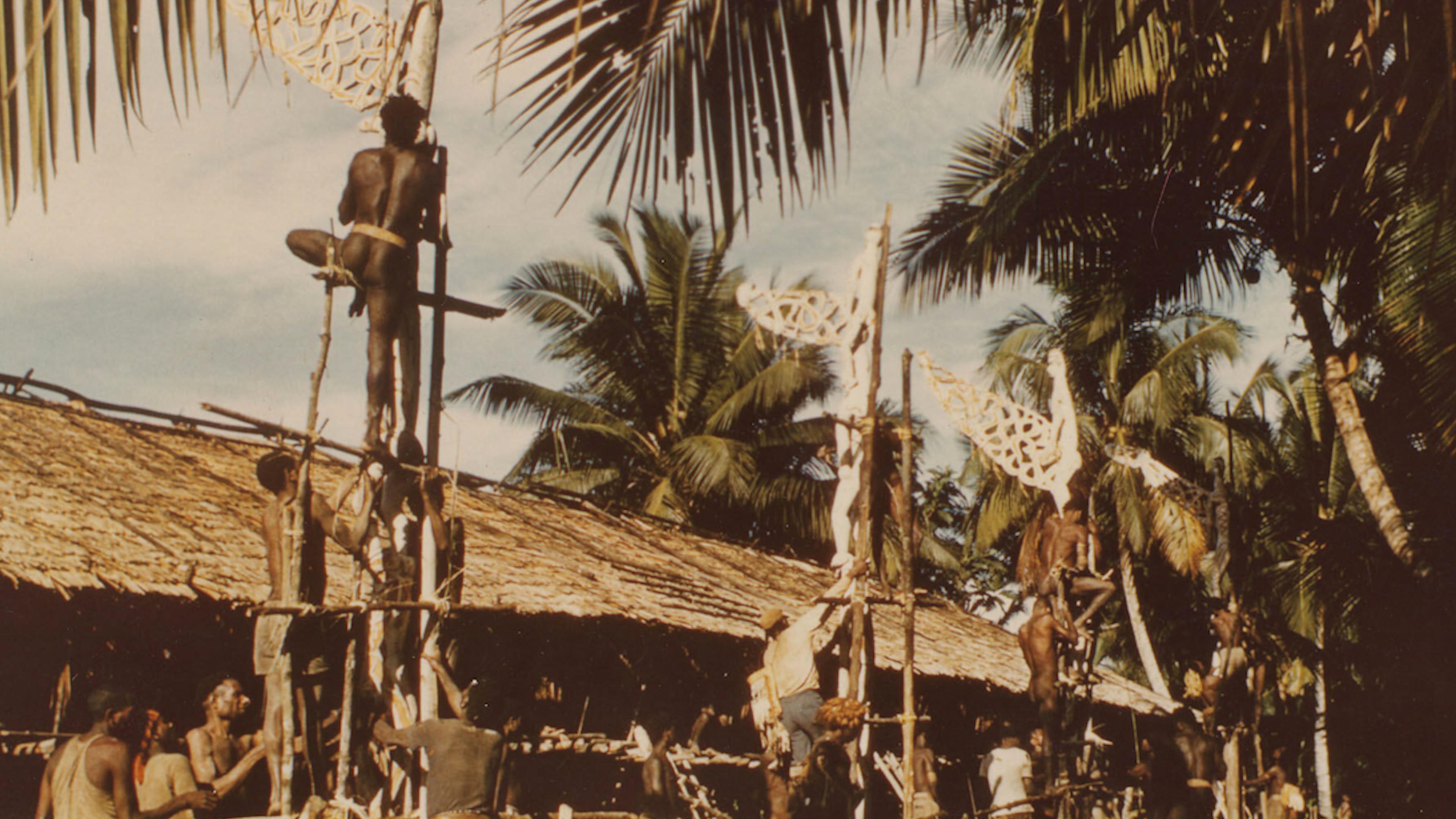 Villagers in Omadesep climbing up ladder-like scaffolds to install tall bisj poles