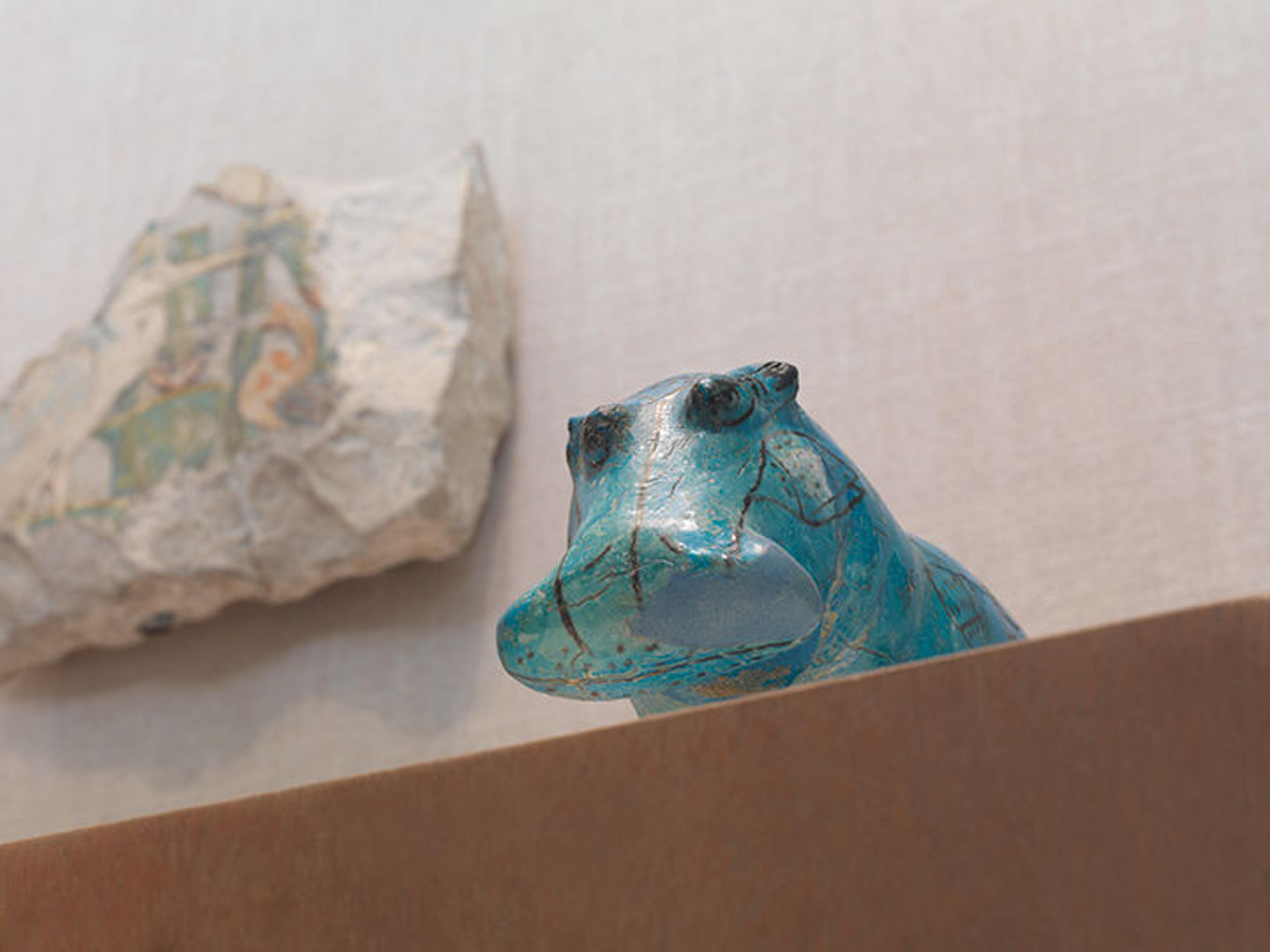 The head of a blue hippo looks down from his perch on a display in the galleries.