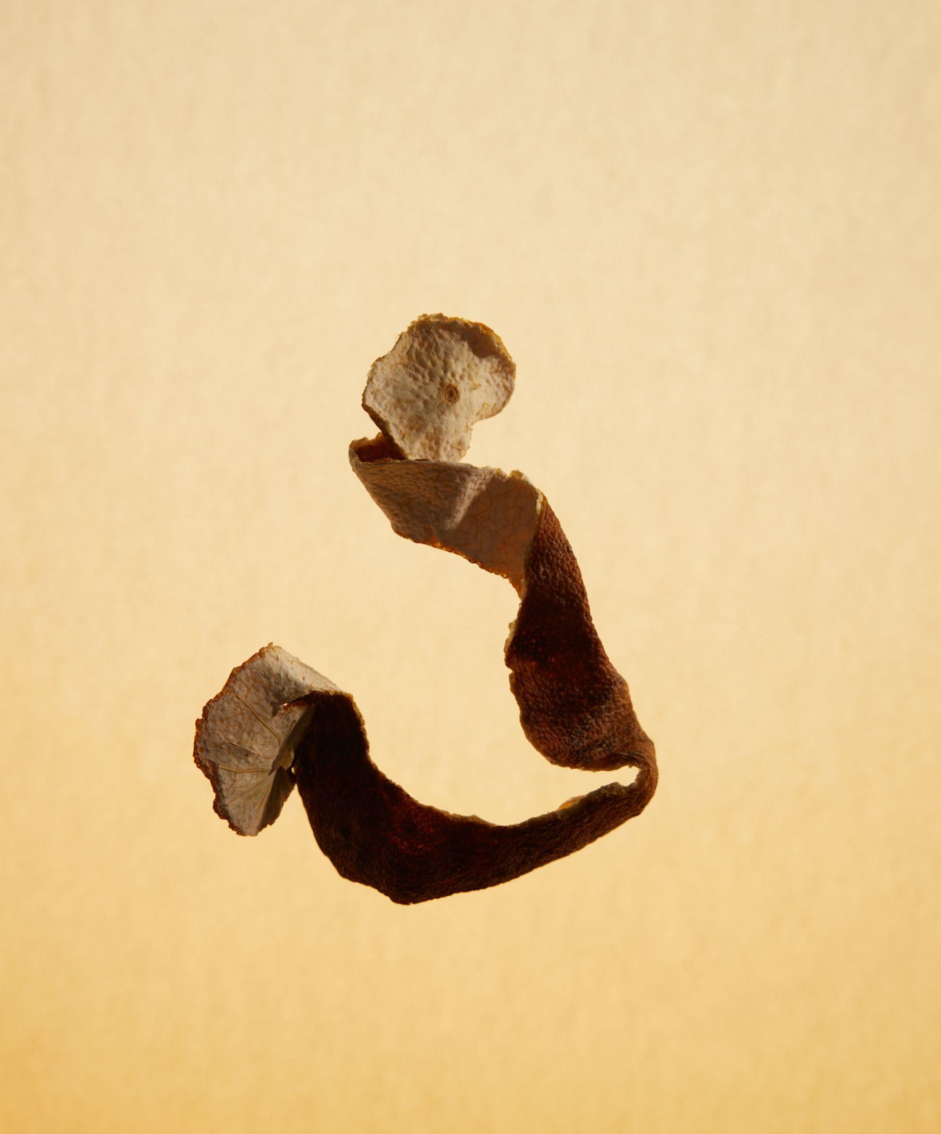 A curly strip of dried material on a light yellow bakcground