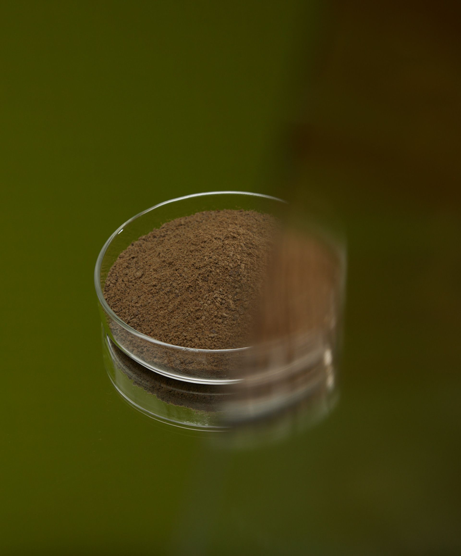 A petri dish filled with earthy powder on a dark green background.
