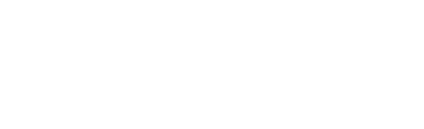 Bon Secours Logo