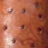 The product color Pecan