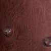 The product color Hazelnut/Denim