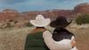 A white cowboy hat rests on a wooden fence with a background of snow-capped mountains and a clear blue sky.