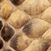The product color Natural