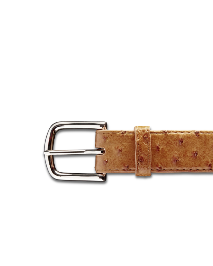 Front view of Men's Ostrich Belt II - Sunset on plain background